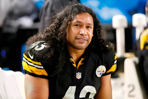 brandon polamalu